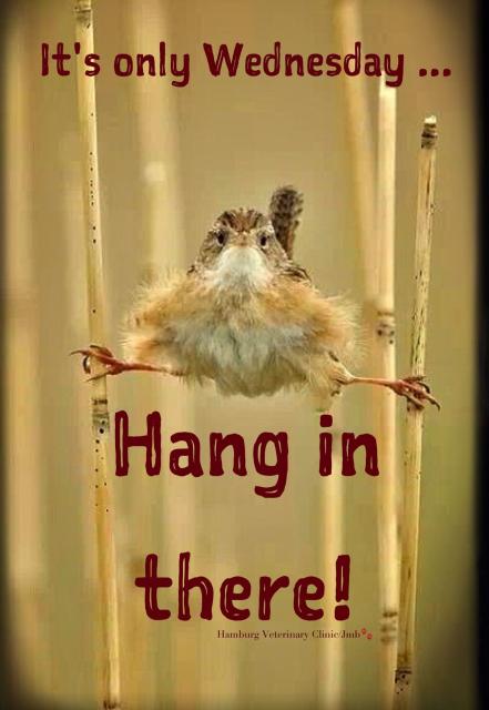 Well it's cold Wednesday : General chat